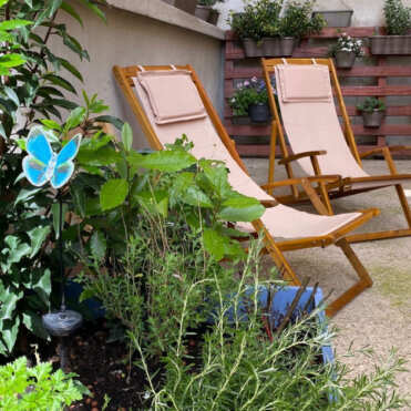 la terrasse du papillon bleu a lyon