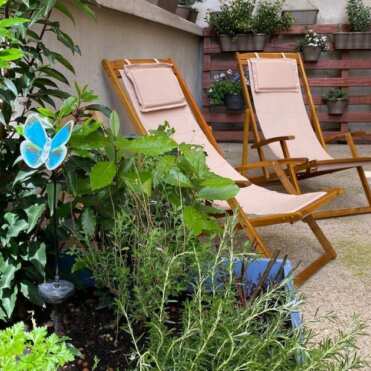 la terrasse du papillon bleu a lyon 69001