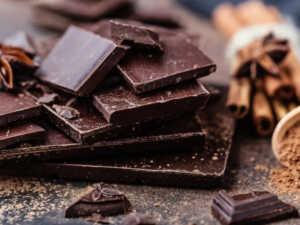 Dégustation sensorielle de chocolat avec le Papillon Bleu