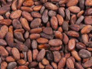 Degustation sensorielle chocolat avec le Papillon Bleu