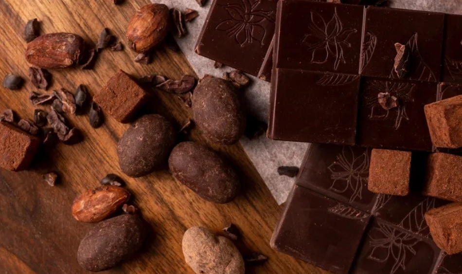 degustation-sensorielle-de-chocolat-teambuilding-le-papillon-bleu