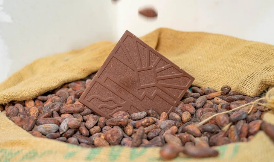le-cacao-dans-tous-ses-etats-teambuilding-le-papillon-bleu