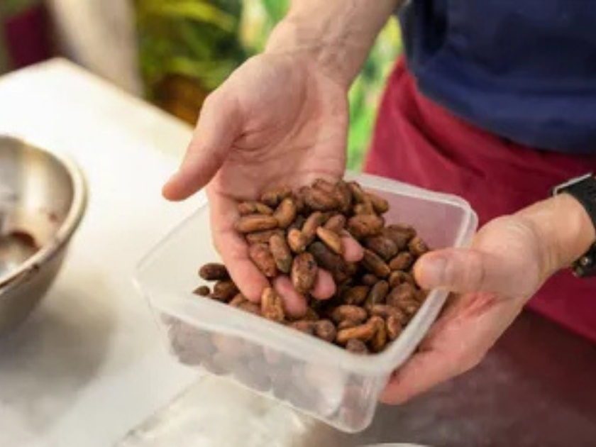le-cacao-dans-tous-ses-etats-teambuilding-le-papillon-bleu-lyon
