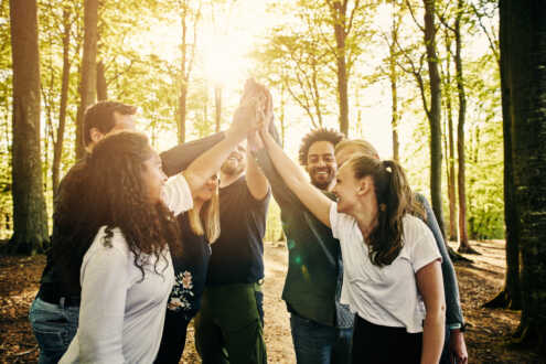 seminaire-nature-teambuilding-papillon-bleu
